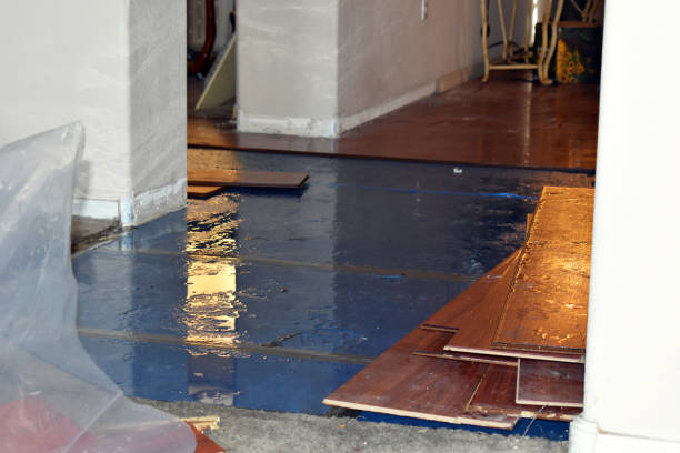 Professional Water Damage technician working in Neshanic Station, NJ